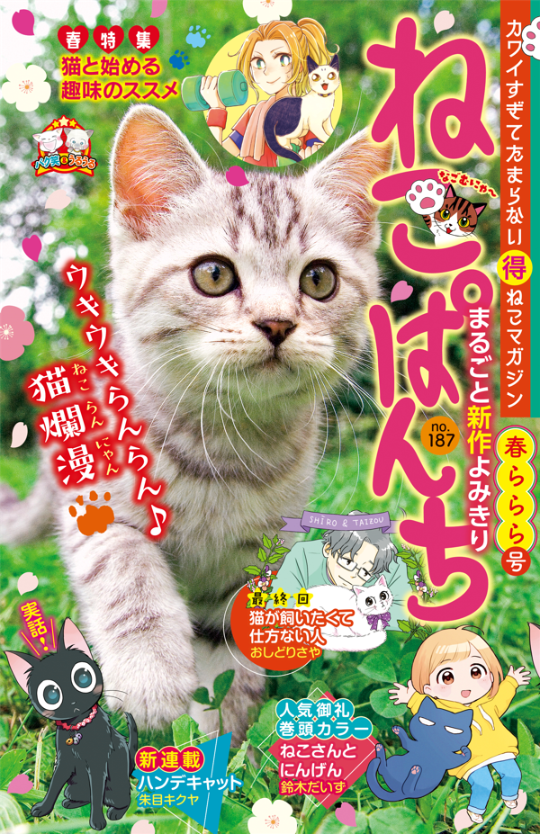 ねこぱんち 春ららら号 | 少年画報社