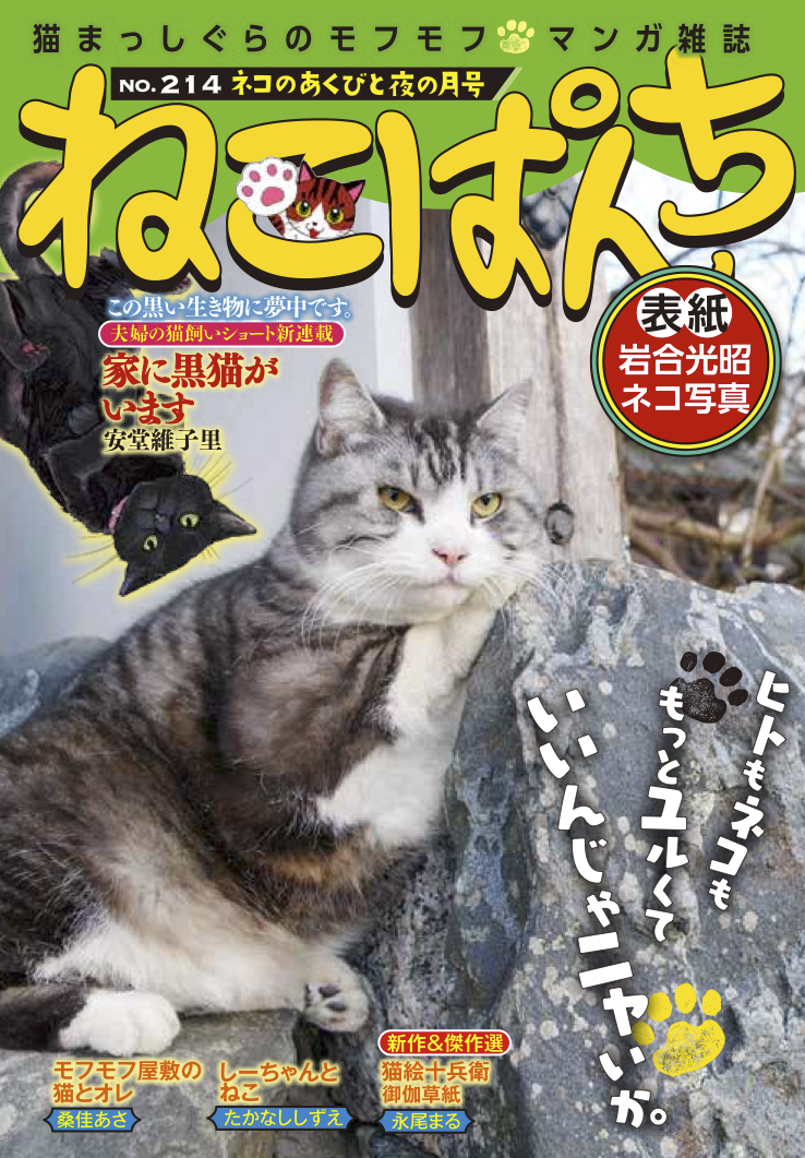 ねこぱんち ネコのあくびと夜の月号 | 少年画報社