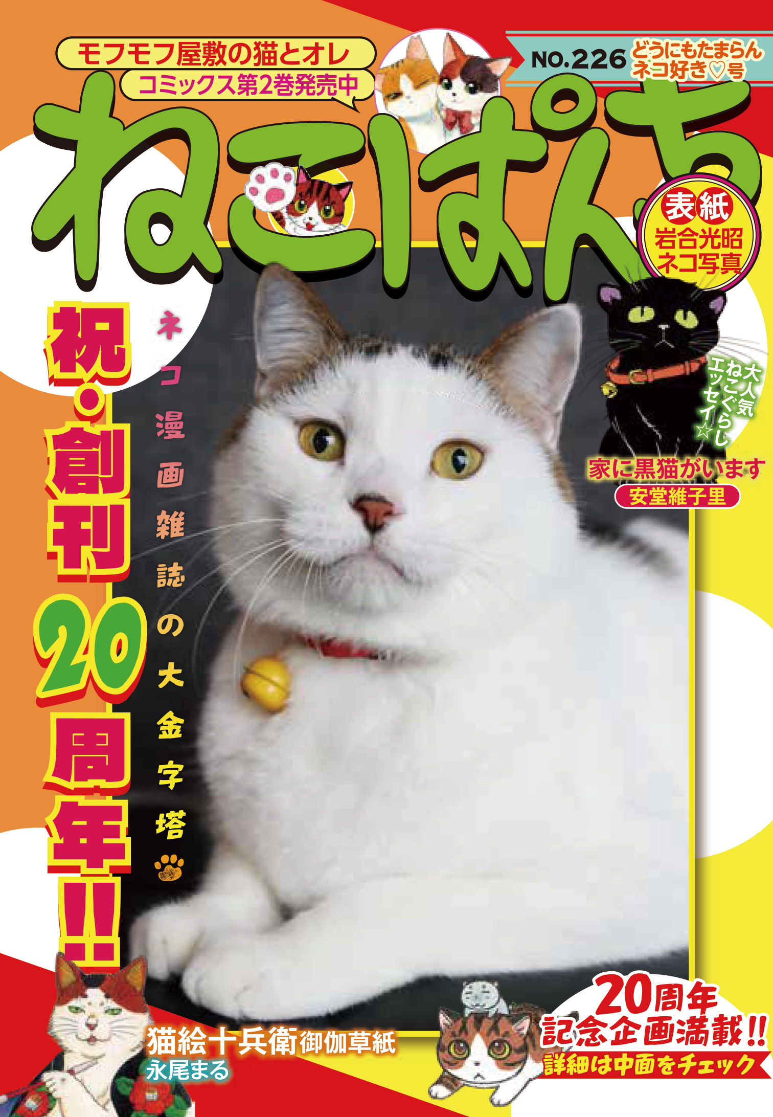 猫好き　4冊 ねこぱんち どうにもたまらんネコ好き♡号 | 少年画報社