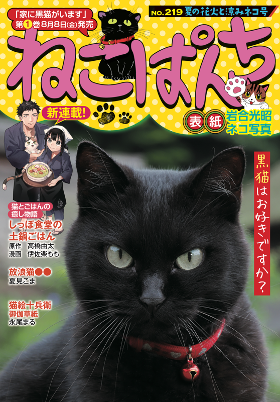ねこぱんち 夏の花火と涼みネコ号 | 少年画報社