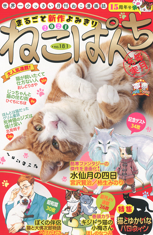 ねこぱんち 15周年号 少年画報社