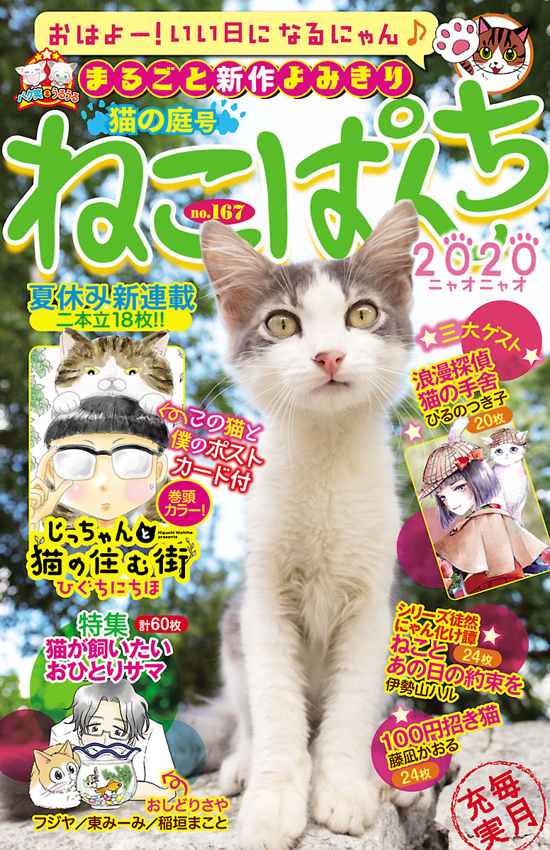 ねこぱんち（167） 猫の庭号 | 少年画報社