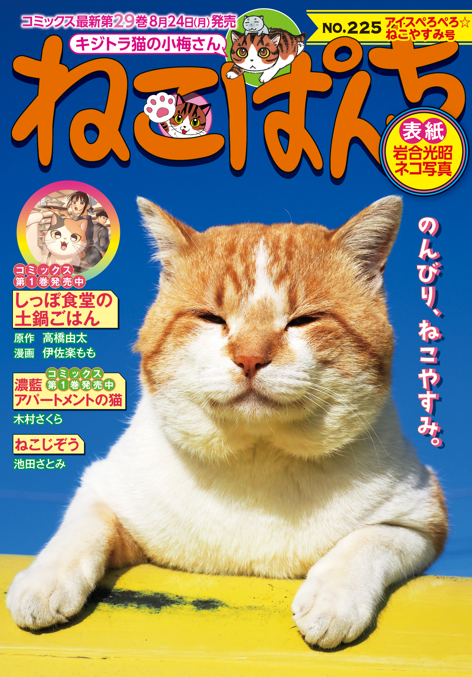プロフ必読　　猫A 値下げしました！ ねこぱんち アイスぺろぺろ☆ねこやすみ号 | 少年画報社