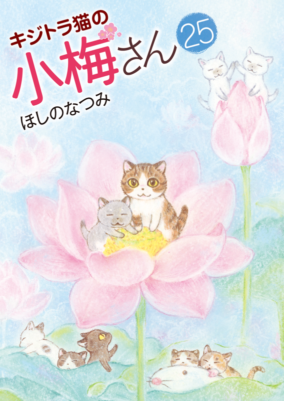 キジトラ猫の小梅さん全巻(23巻まで)＋子猫の小梅さん(2巻まで)＋画集セット キジトラ猫の小梅さん 23 (23巻) (ねこぱんちコミックス
