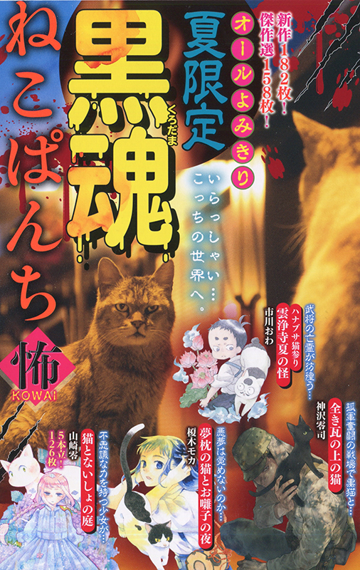 【中古】 世にも奇妙なねこぱんち ２０１３/少年画報社 中古】 世にも奇妙なねこぱんち 2013/少年画報社の通販 by