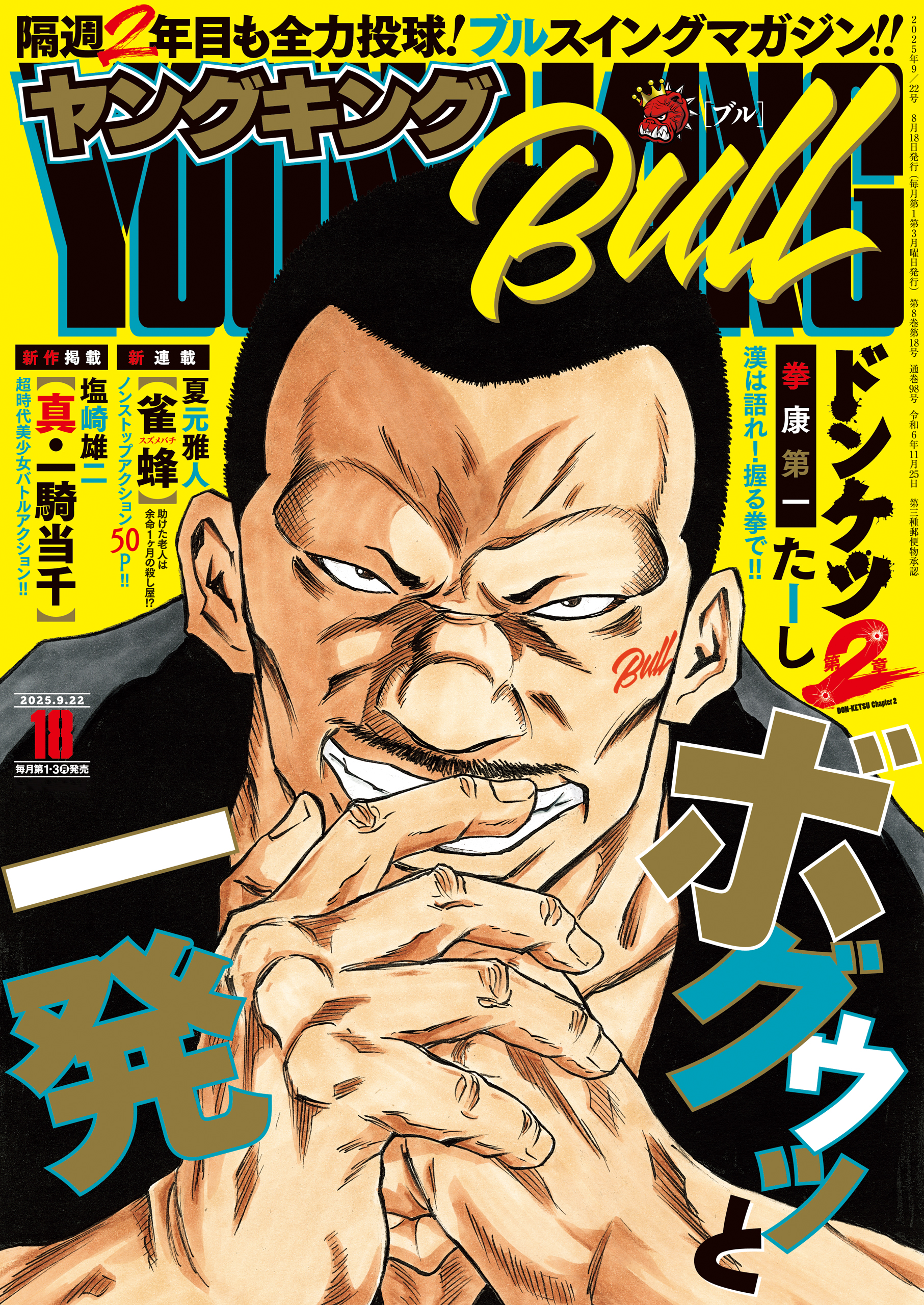 ヤングキングBULL 2025年18号 の表紙