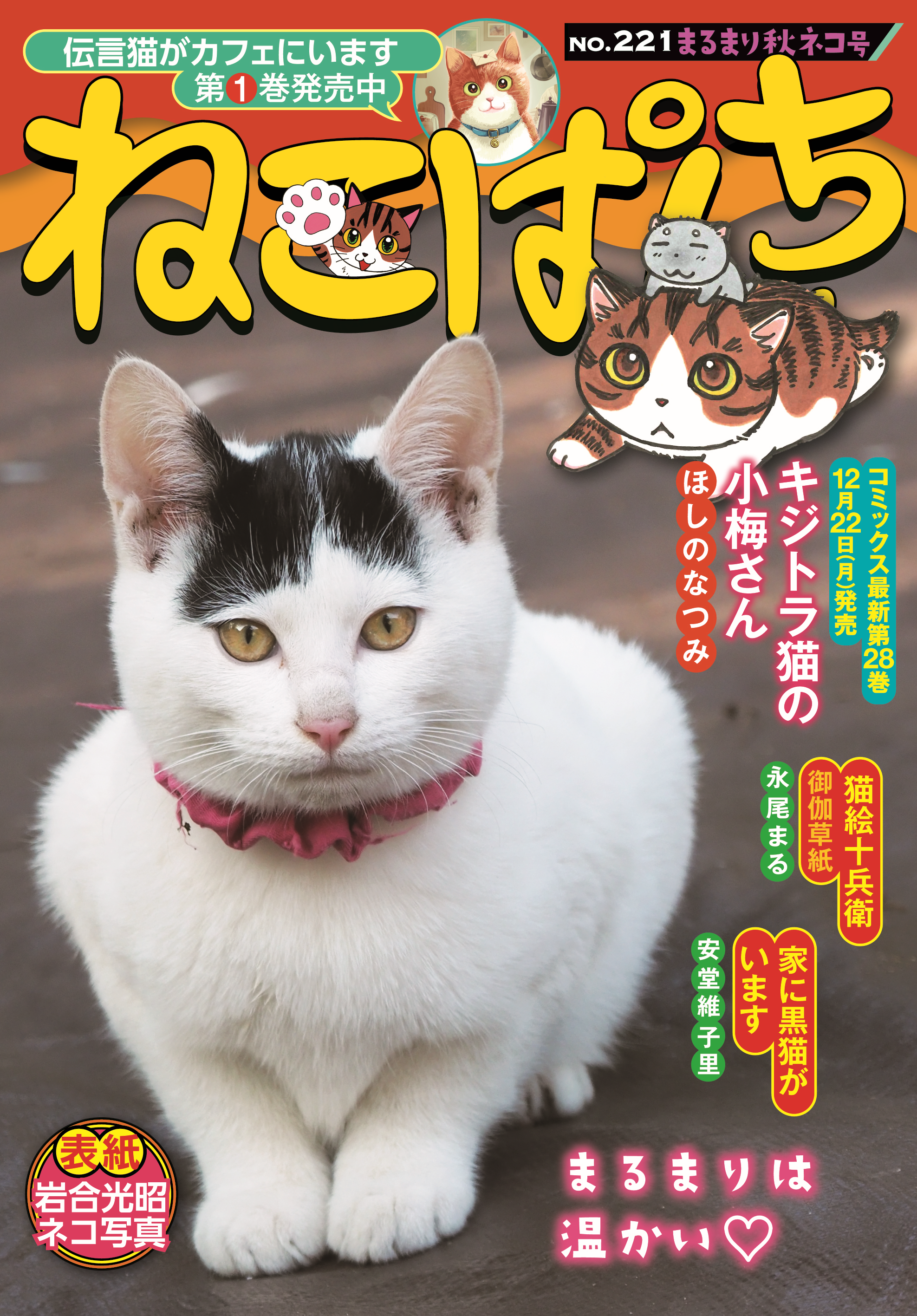 ねこぱんち まるまり秋ネコ号 | 少年画報社