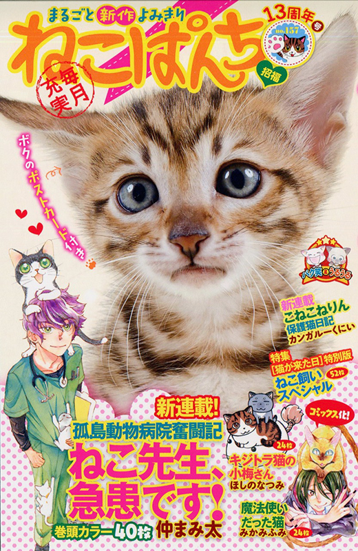 ねこぱんち No.157 13周年号 | 少年画報社