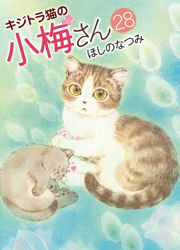 キジトラ猫の小梅さん＋子猫の小梅さん　　ほしのなつみ／少年画報社 キジトラ猫の小梅さん 第28巻（ ほしのなつみ ） | 少年画報社