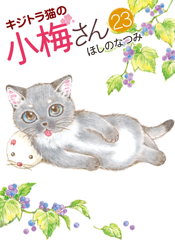 キジトラ猫の小梅さん 第23巻（ ほしのなつみ ） | 少年画報社