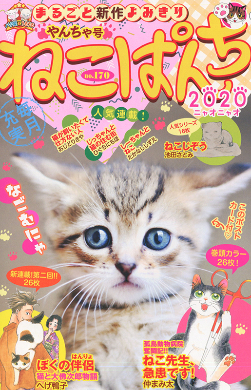 ねこぱんち（170） やんちゃ号 | 少年画報社