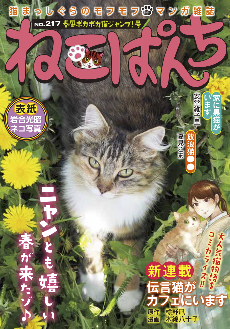 ねこぱんち 春風ポカポカ猫ジャンプ！号 | 少年画報社
