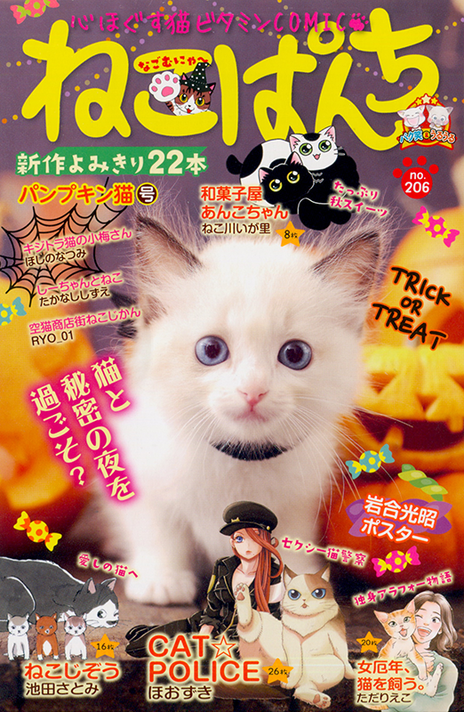 キジトラ猫の小梅さん 子猫 23冊 ねこぱんち 少年画報社 ほし