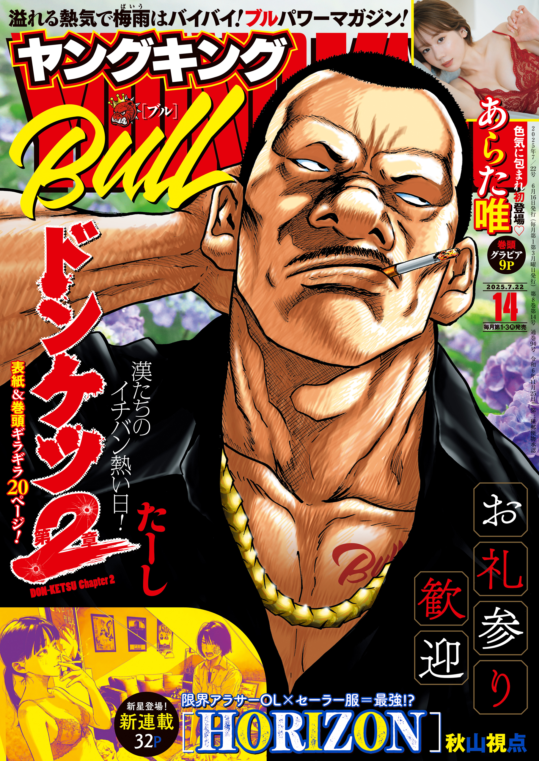 本物品質の ヤングキングBULL 2025年14号 | 少年画報社 青年漫画