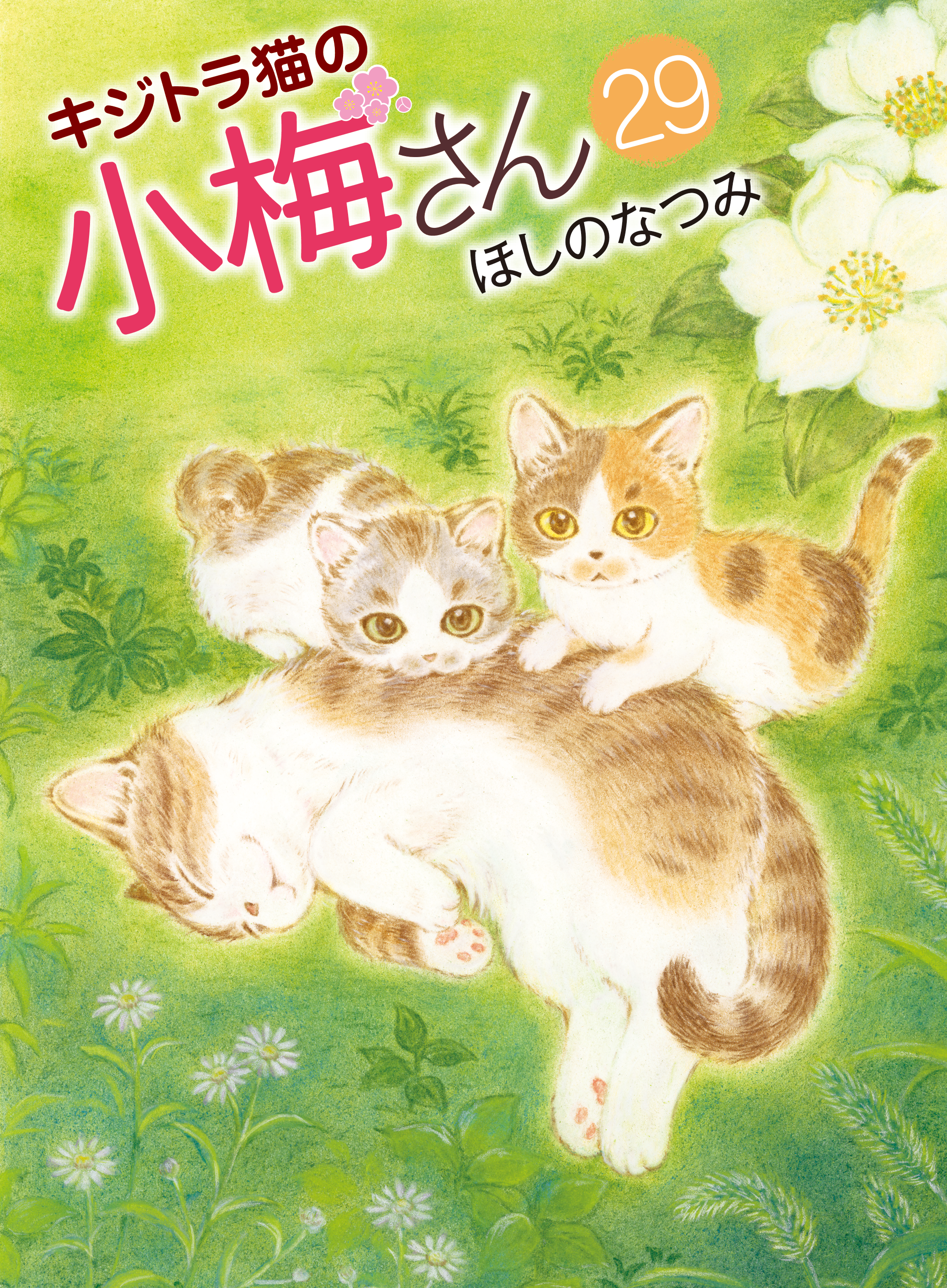 キジトラ猫の小梅さん 第29巻（ ほしのなつみ ） | 少年画報社