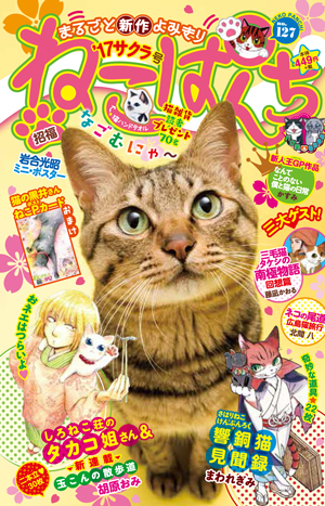 ねこぱんち No.127 '17サクラ号 | 少年画報社