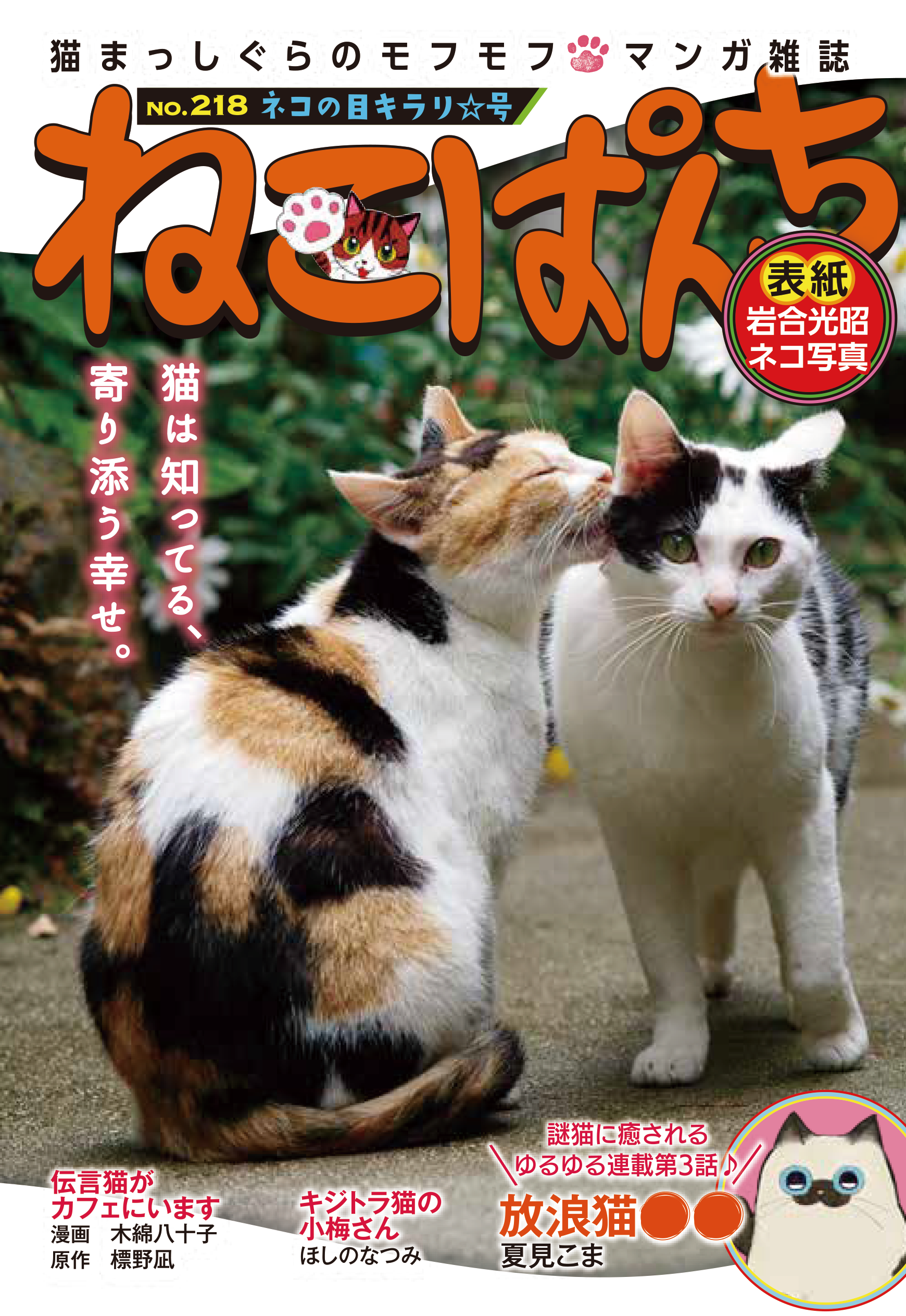 ぎんねこページ ねこぱんち ネコの目キラリ☆号 | 少年画報社