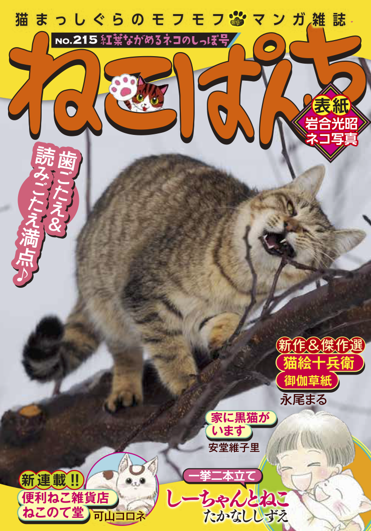 ねこぱんち 紅葉ながめるネコのしっぽ号 | 少年画報社