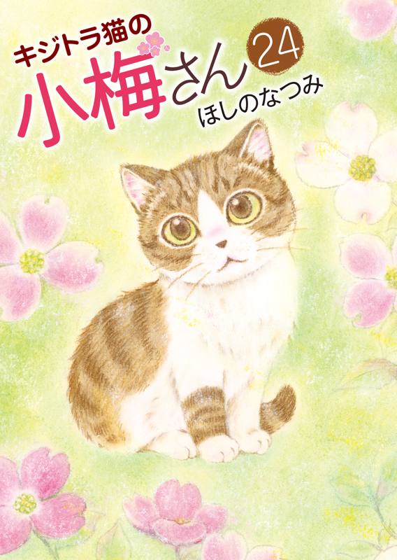 キジトラ猫の小梅さん 第24巻（ ほしのなつみ ） | 少年画報社