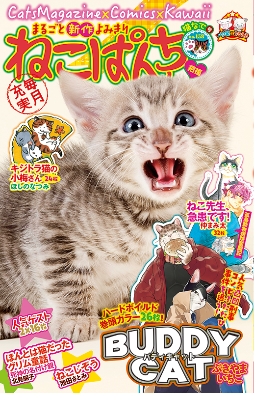 【中古】 ねこぱんち Ｎｏ．１４６/少年画報社 ねこぱんち 15周年号 | 少年画報社