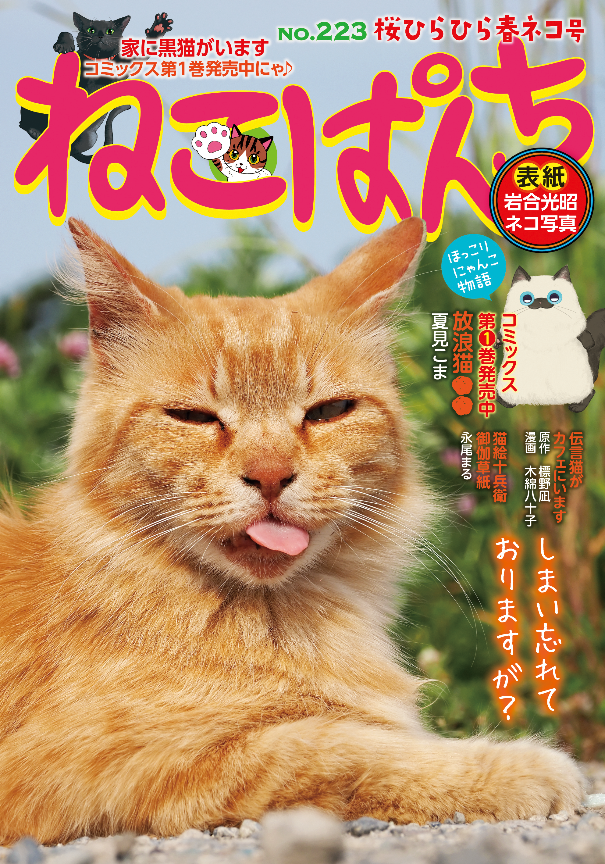 ねこぱんち 桜ひらひら春ネコ号 | 少年画報社