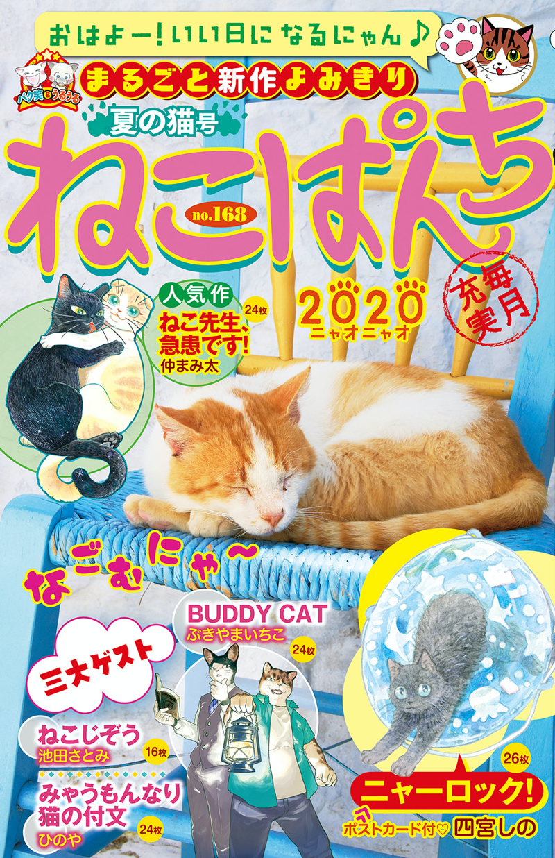 ねこぱんち（168） 夏の猫号 | 少年画報社