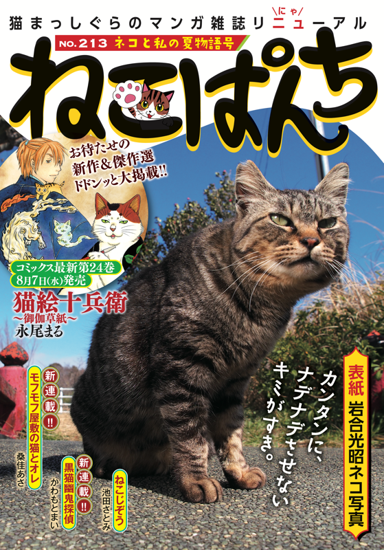 ねこぱんち ネコと私の夏物語号 | 少年画報社