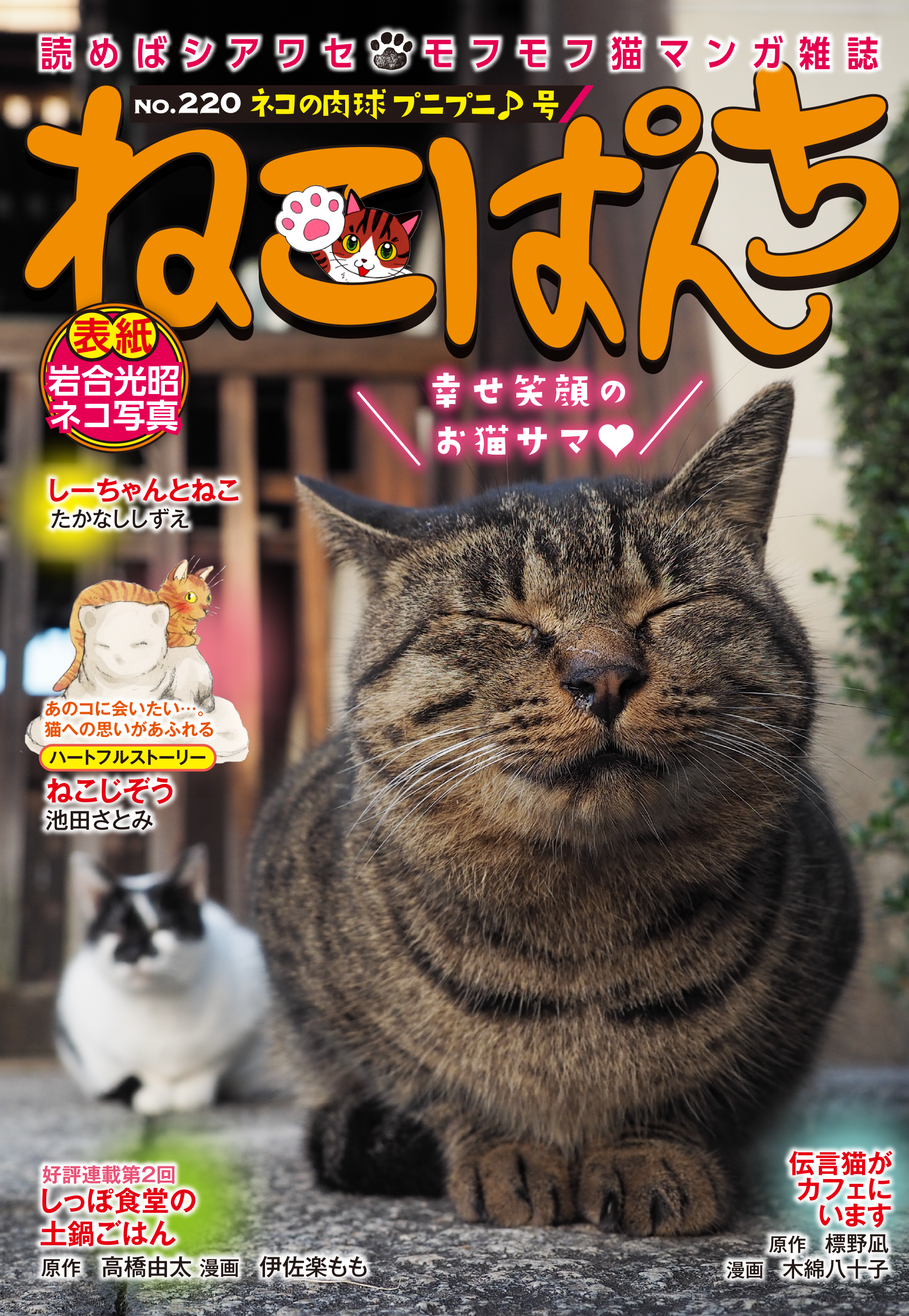 【中古】 ねこぷに（6（2008実りの秋号）） ねこぱんち ネコの肉球プニプニ♪号 | 少年画報社