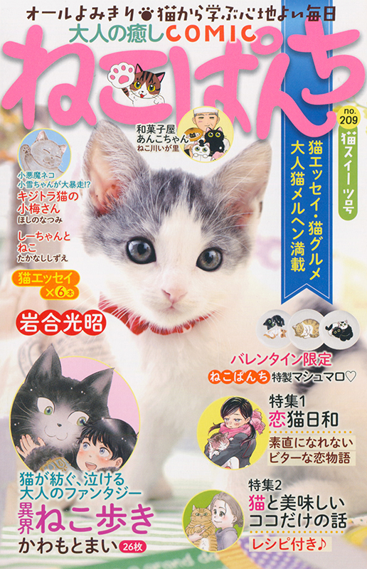 ねこぱんち 猫スイーツ号 | 少年画報社