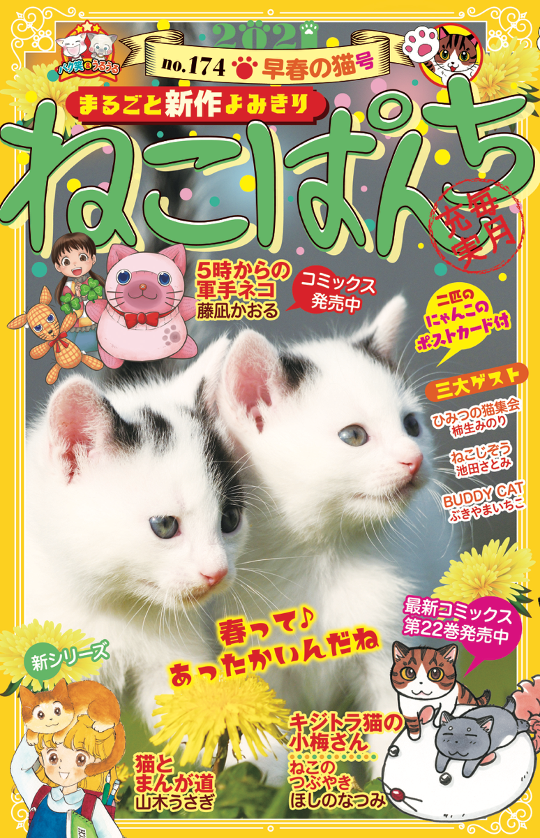 ねこぱんち （174） 早春の猫号 | 少年画報社