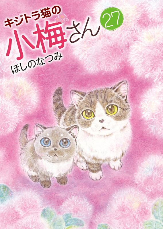 キジトラ猫の小梅さん 第27巻（ ほしのなつみ ） | 少年画報社