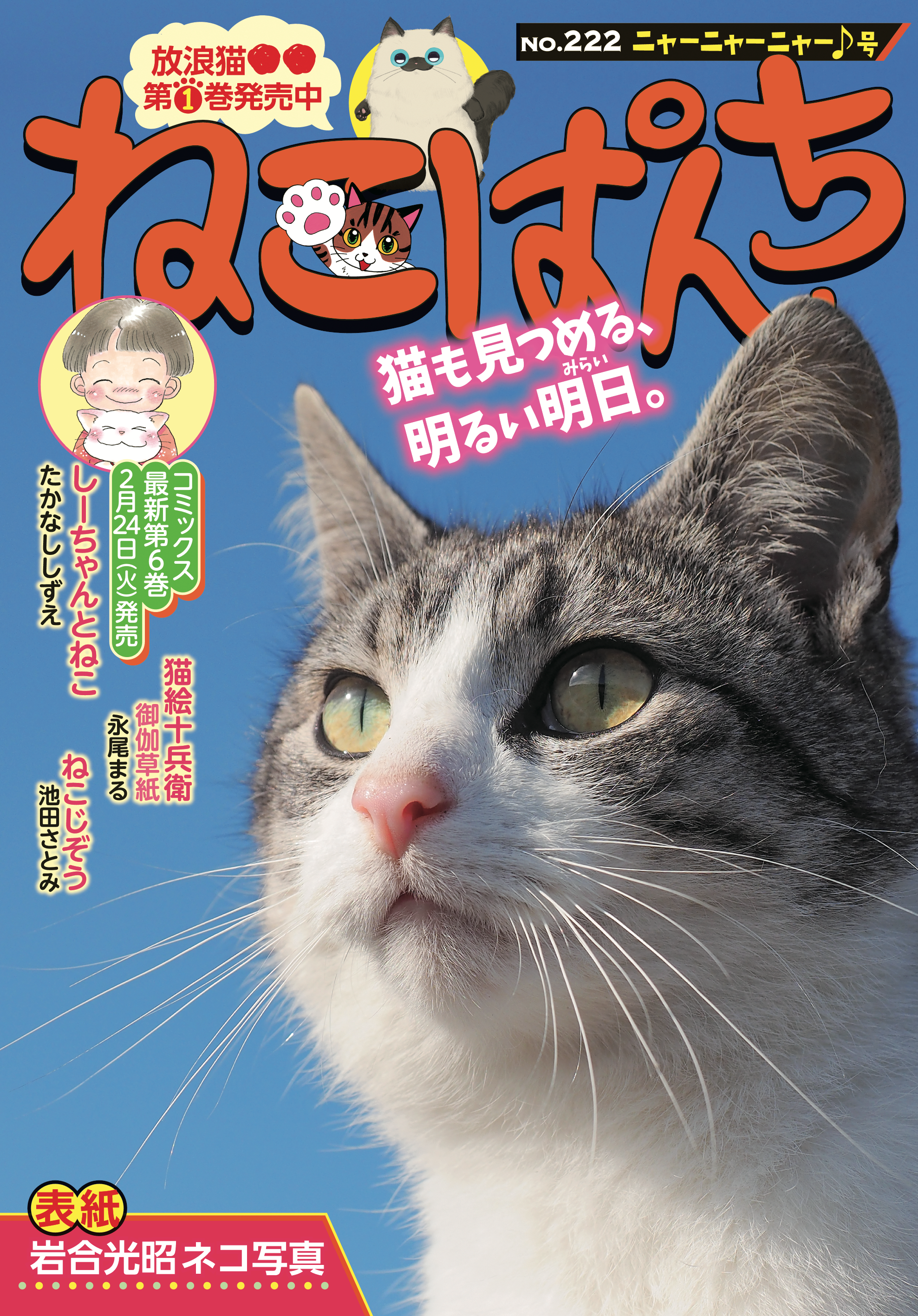 ねこぱんち ニャーニャーニャー♪号 | 少年画報社