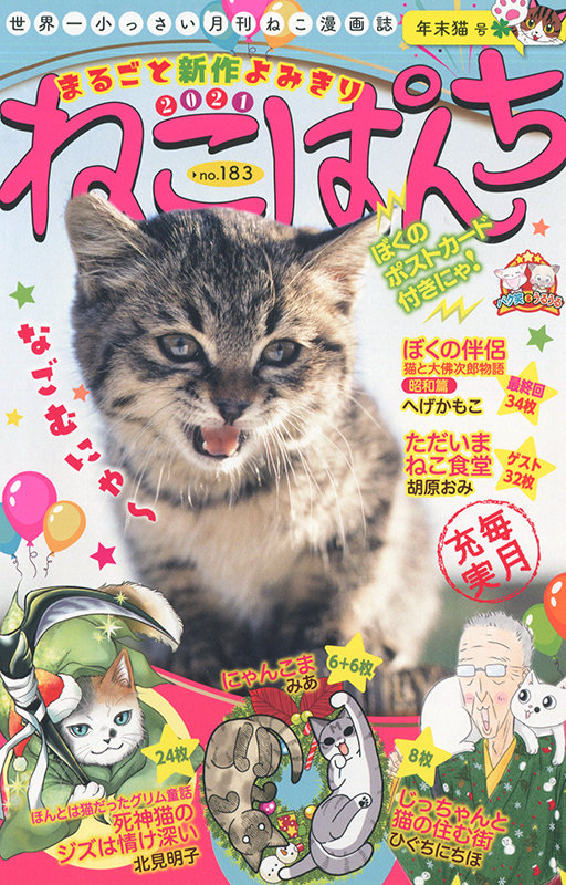 ねこぱんち 年末猫号 | 少年画報社