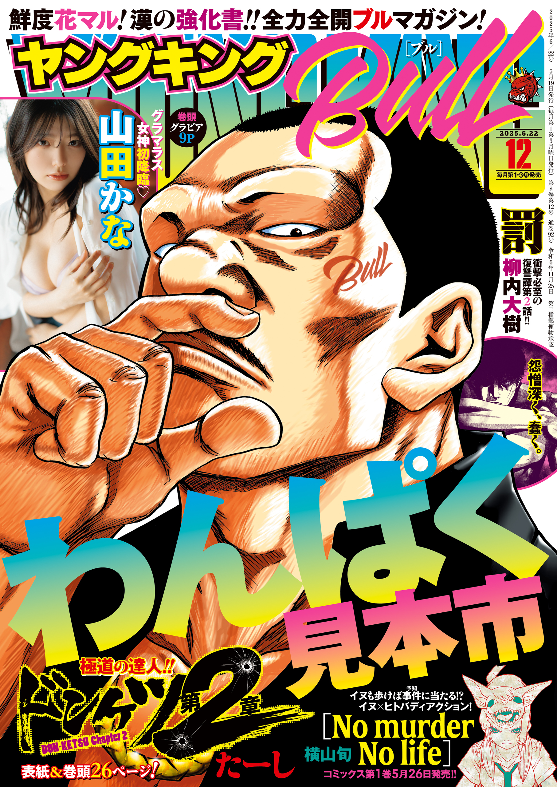 ヤングキングBULL 2025年12号 の表紙